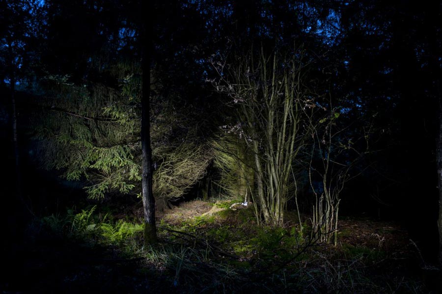 Fundort der Leiche in einem Waldstück an der Landstraße L817 in Paderborn am 11.09.2015. © Marcus Simaitis